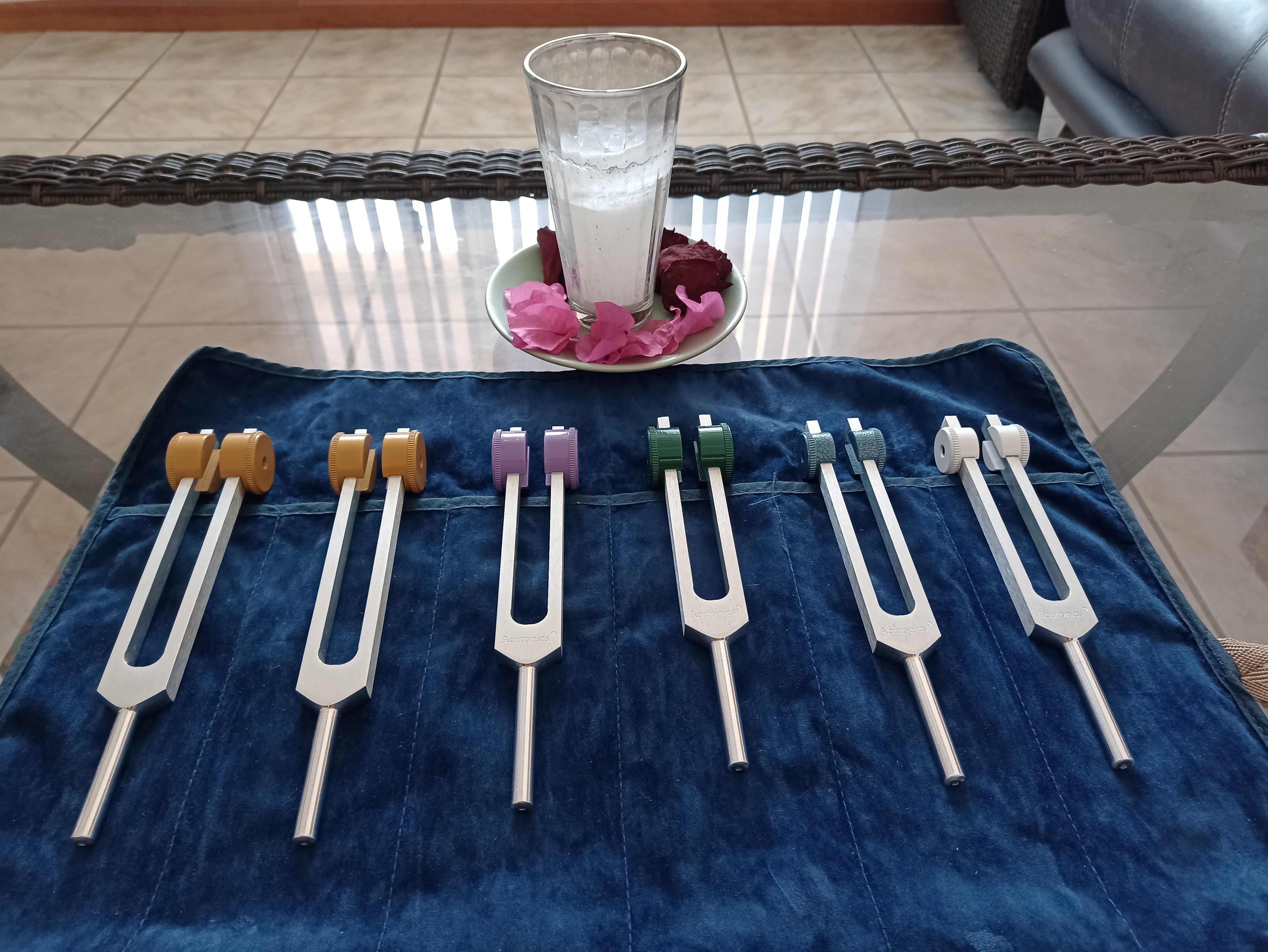 Acutonics sound therapy tuning forks